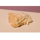 Rotkulturkse, Epoisses Germain (A.O.C.) krftig